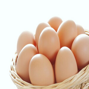 【ふるさと納税】こだわり卵とつけだれのセット【約60個＋つけだれ2本】