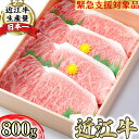 極上近江牛サーロインステーキ 800g (200g×4枚) A4/A5 国産 牛肉 霜降り ブランド牛 日本三大和牛 キャンプ アウトドア 贈り物 ギフト にも 冷凍 送料無料 訳あり