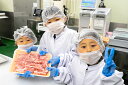 【ふるさと納税】お肉博士と工場見学 近江牛スゴーイ!〜お持ち帰りできる近江牛500g付〜