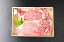 【ふるさと納税】極上近江牛ステーキセット【400g(200g×2枚)】【冷凍】【びわこフード】ブランド牛 日本三大和牛 サーロイン リブ 冷凍 牛肉 牛 ステー...