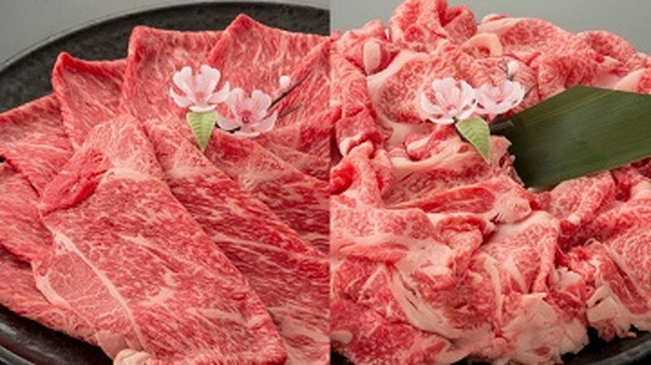 【ふるさと納税】近江牛二種セット【1kg（赤身スライス500g、切り落とし500g）】【牛肉】【牛】【牛丼..