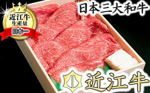 【ふるさと納税】【2月末までに発送】【4等級以上】【近江牛 ウデ】すき焼・しゃぶしゃぶ用【500g】【牛肉】【牛】【a4】【a5】【すき焼き】【しゃぶしゃぶ】【赤身】