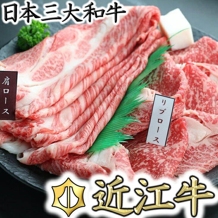 牛肉(リブロース)人気ランク25位　口コミ数「1件」評価「5」「【ふるさと納税】近江牛 霜降りすき焼き用（リブロース・肩ロース）【500g（リブロース250g、肩ロース250g）】【牛肉】【牛】【食べ比べ】【国産】」