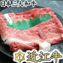 商品詳細 名称 近江牛霜降り・赤身すき焼き用（肩ロース・ウデ） 容量 近江牛肩ロース250g・ウデ250g 消費期限 出荷日から60日 配送方法 冷凍 アレルギー 牛肉（※本商品は、同じ設備内で豚肉を取り扱っております。） 詳細 すき焼き用にスライスした、霜降り・赤身の食べ比べができるので、自分好みのお肉が発見できるかも！ ・この謝礼品は、市内でと畜から精肉までの工程を行い、付加価値の半分以上が生じています。 ご注意事項 1.当市謝礼品の発送期日は、あくまで一定の目安であり、確約するものではありません。年末年始を含む11月〜2月中にお申込みの場合の繁忙期対応、天候、災害、交通事情、発送手続き、事務手続き、在庫調整、一時的な品切れの他、諸事情により、1ヶ月以上の配送遅延や配送不能が発生する場合がございます。予めご了承の上、あしからずご容赦ください。 2.冷蔵謝礼品の場合、消費期限が発送日から3日と短くなっておりますので、配達時の不在には十分にご注意ください。 3.冷蔵謝礼品（一部を除く）の場合、出荷日から2日後までにお受け取りできなかった時は、品質保持のため冷凍保管に切り替えての配達となります。 4.謝礼品受取後、すぐに謝礼品の状態を確認し、不良の場合は下記コールセンターまでご連絡ください。なお、感謝を表する謝礼品につき、冷蔵については出荷日より3日以上、冷凍については出荷日より7日以上、経過してからの対応はできませんので予めご了承ください。 ふるさと納税コールセンター 0570-03-4129 【原材料名】 牛肉 謝礼品発送事業者 近江牛　岡喜 連絡先 【謝礼品の内容のご質問、発送について】 近江牛　岡喜 0748-43-1196 【謝礼品以外のふるさと納税に関することについて】 ふるさと納税コールセンター 0570-03-4129 【ふるさと納税】【送料無料】【お買い物マラソン】【楽天スーパーセール】【スーパーSALE】【ポイント消化】