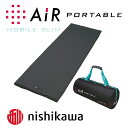 【ふるさと納税】西川 AiR エアーポータブル モバイルマッ