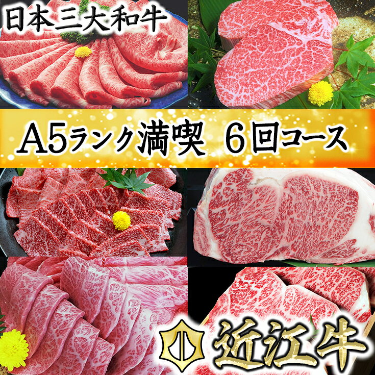 げんさんの近江牛満喫コース 12ヶ月で全6回お届け(2カ月に1回) すき焼き肉 [牛肉][牛][A5][国産][すき焼き][ステーキ][焼肉][しゃぶしゃぶ][定期便]