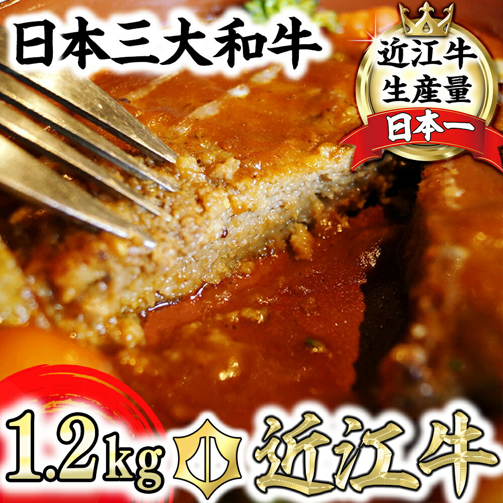 近江牛煮込みハンバーグ 自家製デミグラスソース [1200g(200g×6個)][牛肉][牛][小分け][国産]