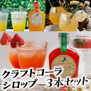 【ふるさと納税】びわコーラ クラフトコーラシロップ3本セット