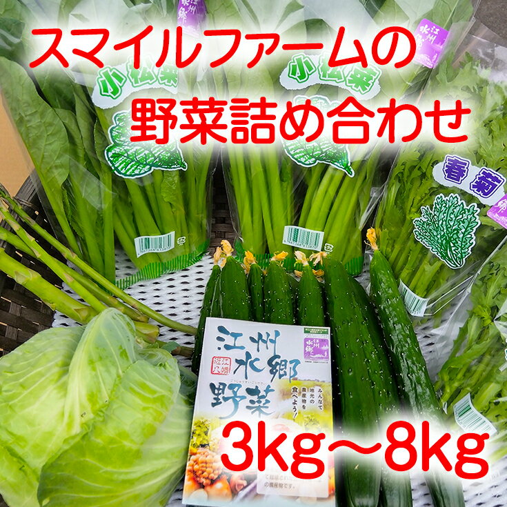 近江農家野菜詰め合わせセット3kg〜8kg