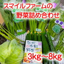 【ふるさと納税】近江農家野菜詰め合わせセット3kg～8kg