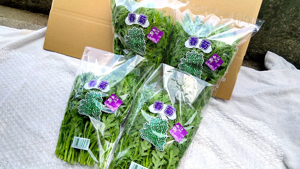 朝採り春菊(約140g×12袋)
