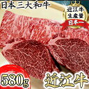 【ふるさと納税】【寛閑観】近江牛豪華ステーキセット 580g(冷蔵)