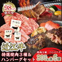 【ふるさと納税】特撰近江牛おすすめ部位 焼肉3種300g&近江牛生ハンバーグ6個セット