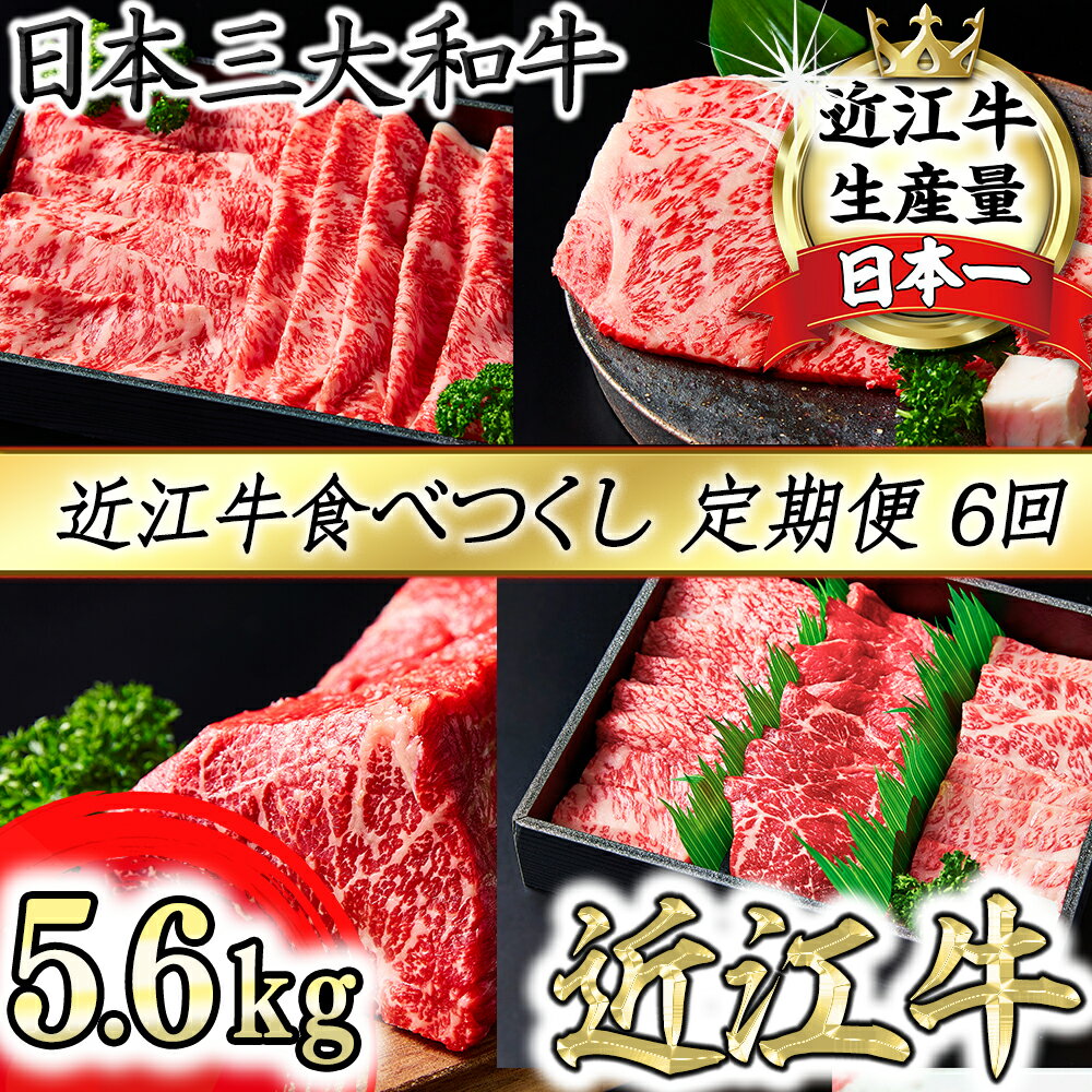 【ふるさと納税】近江牛食べつくし定期便　6回　焼肉　すきしゃぶ　ステーキ