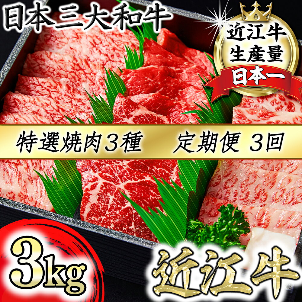 【定期便】A4A5等級特選近江牛おすすめ部位 焼肉3種（1kg×3回）