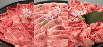 【ふるさと納税】三種セット【1.5kg(肩バラ500g、赤身スライス500g、切り落とし500g)】【牛】【国産】