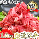 【ふるさと納税】近江牛 切り落とし【1.6kg(800g×2パック)】【牛肉】 【牛】【牛丼】【国産】