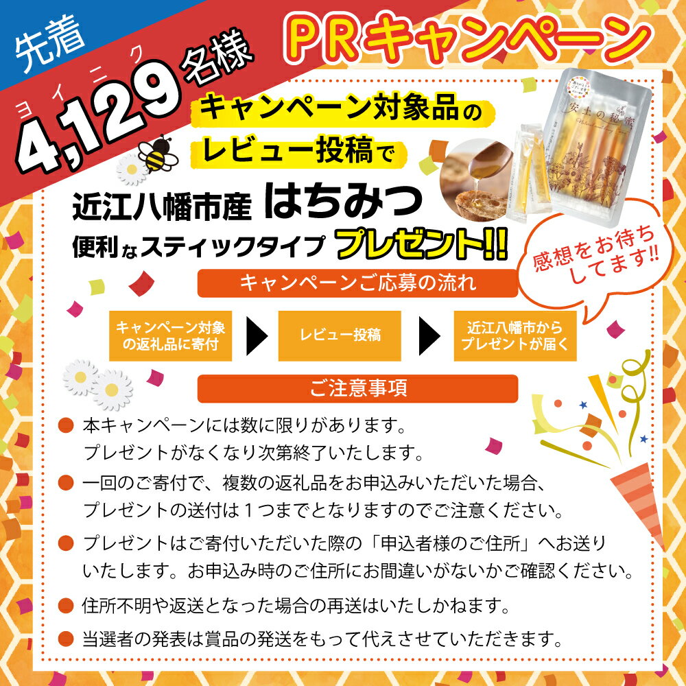【ふるさと納税】【PRキャンペーン対象】休暇村近江八幡 宿泊割引 30,000円分 1泊2食 宿泊その2