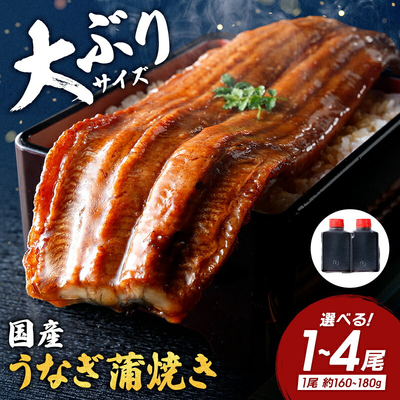 うなぎ蒲焼き たれ付き 1尾 / 2尾 / 4尾 選べる (1尾×約160g〜180g) 国産 うなぎ 近江佃煮庵 遠久邑 鰻 ウナギ 冷凍