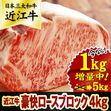 【ふるさと納税】【総本家肉のあさの】近江牛豪快ロースブロック AE999_a