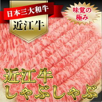 近江牛しゃぶしゃぶ用450gN005