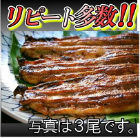 【一度食べたらやみつき!リピート多数】うなぎ蒲焼4尾セットD010