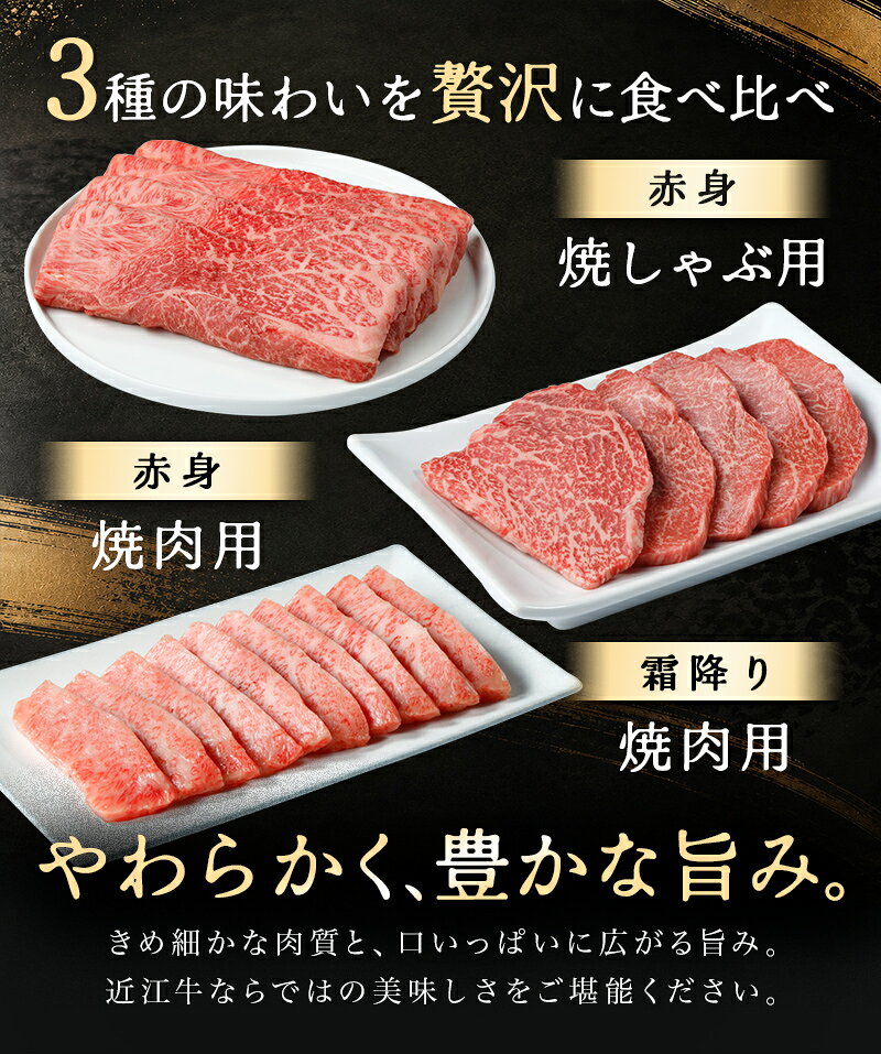 【 ふるさと納税 】 毛利志満 近江牛 焼肉 3点盛セット 450g 食べ比べ 焼肉セット 焼肉用牛肉 焼肉用 焼肉用肉 牛肉 ロース肉 牛ロース 牛バラ 牛バラ肉 もも肉 牛もも肉 国産 和牛 黒毛和牛 ブランド肉 銘柄牛 A4ランク A5ランク 贈答用 お祝い お肉 赤身 霜降り 冷凍 f252042-omihachiman-10001411 滋賀県近江八幡市 サンプル画像3