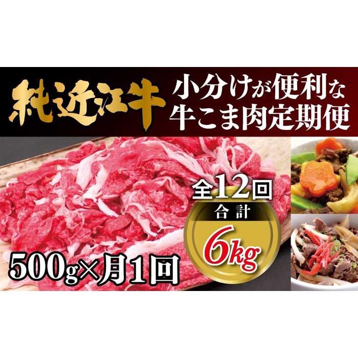 【ふるさと納税】肉 近江牛 定期便【年12回】純近江牛 小分けが便利な牛こま肉 計6kg ( 500g × 12回 ) | 近江ビーフ 頒布会 国産 牛肉 精肉 ブランド牛 日本三大和牛 キャンプ アウトドア 滋賀県産 贈答 贈り物 ギフト 人気 おすすめ 送料無料