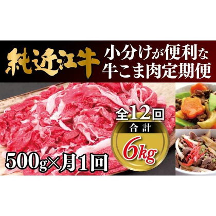 肉 近江牛 定期便【年12回】純近江牛 小分けが便利な牛こま肉 計6kg ( 500g × 12回 ) | 近江ビーフ 頒布会 国産 牛肉 精肉 ブランド牛 日本三大和牛 キャンプ アウトドア 滋賀県産 贈答 贈り物 ギフト 人気 おすすめ 送料無料