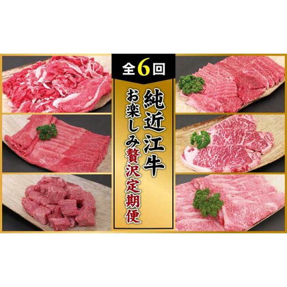 肉 近江牛 定期便【年6回】純近江牛 お楽しみ贅沢定期便 (切り落とし／モモ／角切／ロース／ステーキ／すき焼き) | 近江ビーフ 頒布会 国産 牛肉 精肉 ブランド牛 日本三大和牛 キャンプ アウトドア 滋賀県産 贈答 贈り物 ギフト 人気 おすすめ 送料無料