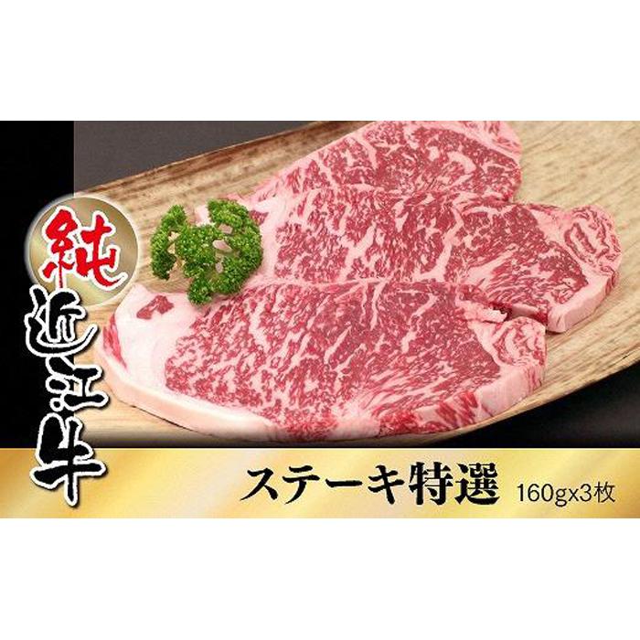 【ふるさと納税】近江牛 特撰 ステーキ肉 160g×3枚 |