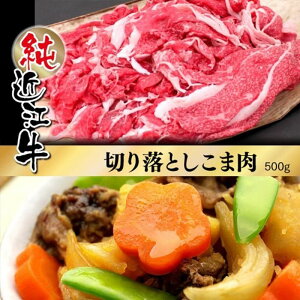 【ふるさと納税】近江牛 切り落とし こま肉 500g | 肉 お肉 牛肉 日本三大 黒毛和牛 滋賀 切り落し 小間切れ こま切れ 炒め物 煮物 カレー ハヤシライス 牛丼 ギフト 贈答 お取り寄せ グルメ 人気 おすすめ 草津市