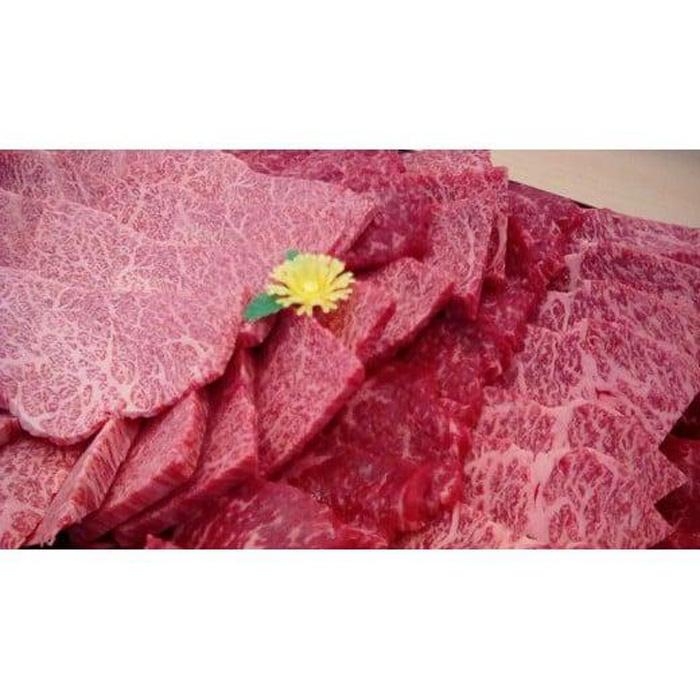 【ふるさと納税】近江牛 焼き肉（赤身・カルビ部位）0.5kg