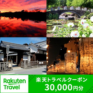 【ふるさと納税】滋賀県草津市の対象施設で使える楽天トラベルクーポン 寄付額100,000円