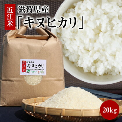 近江米「キヌヒカリ」 20kg