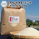 【ふるさと納税】【令和2年度産】近江米「キヌヒカリ」 20k