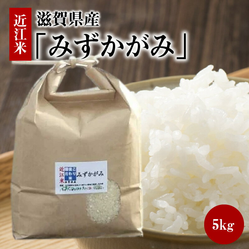 近江米「みずかがみ」 5kg