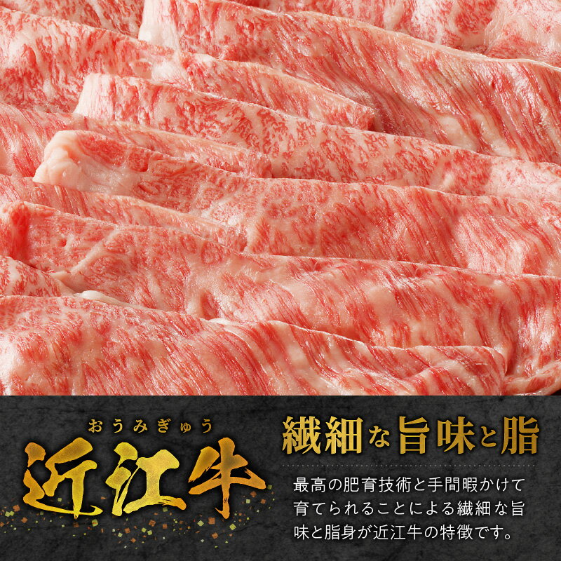 【ふるさと納税】近江牛詰め合わせ 近江牛スライス・焼肉各1kg、ロース・ヒレ180g各2枚 牛 和牛 牛肉 肉 黒毛和種 霜降り 柔らかい サシ きめ細かい とろみ 人気 焼肉 鉄板焼き ステーキ おすすめ 滋賀県 守山市