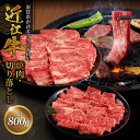 20位! 口コミ数「1件」評価「5」近江牛焼肉 500g・近江牛切り落とし 300g