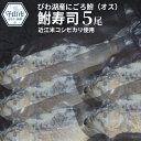 【ふるさと納税】びわ湖産にごろ鮒（オス）鮒寿司 5尾 ...