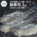 【ふるさと納税】 びわ湖産にごろ鮒（オス）鮒寿司 3尾...