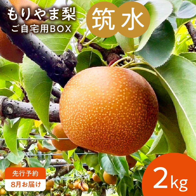 【ふるさと納税】【8月お届け】 もりやま梨 筑水 2kg ご自宅用 梨 完熟 果汁 みずみずしい 果肉 しっとり 甘み 香り 果物 フルーツ デ..