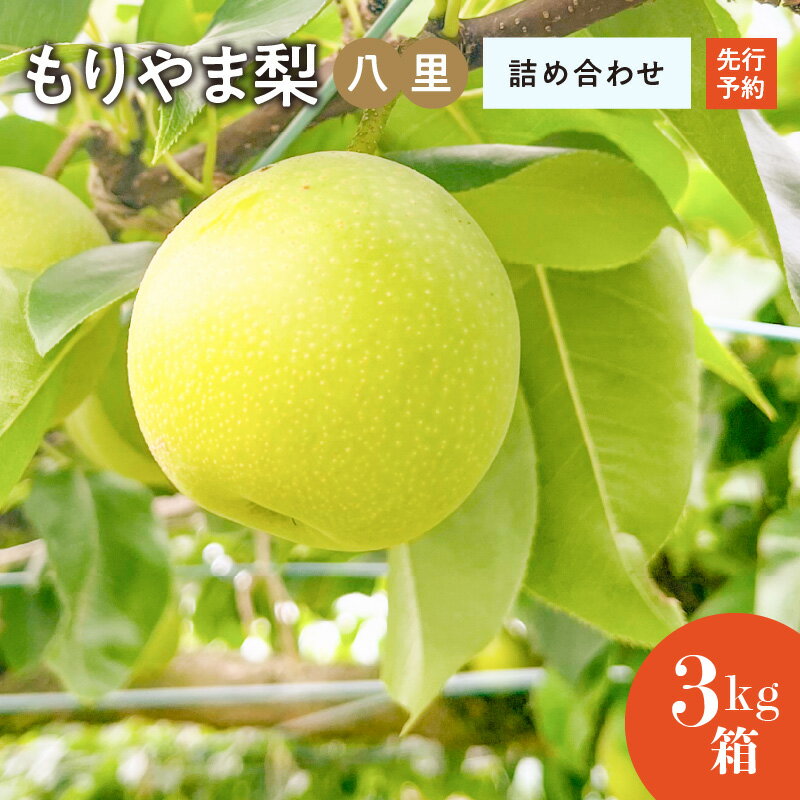 [2024年8月配送]びわこもりやまフルーツランド 梨 3kg 八里 詰め合わせ 箱入り ギフトボックス みずみずしい 果汁たっぷり 青梨 珍しい品種 甘み 酸味 さっぱり 上品な香り お取り寄せ お取り寄せフルーツ 果物 フルーツ 滋賀県 守山市 先行予約 送料無料