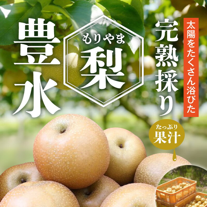 【ふるさと納税】完熟採り　もりやま梨（豊水）5キロ【2025年9月中旬お届け】