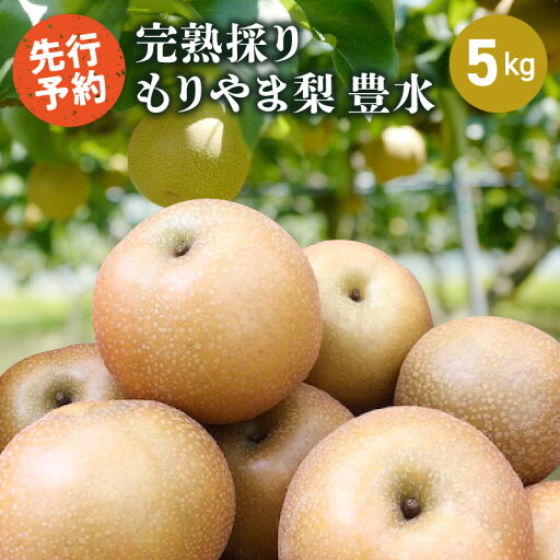 【ふるさと納税】完熟採り もりやま梨(豊水)5キロ【2025年9月中旬お届け】 【ふるさと納税】完熟採り もりやま梨(豊水)5キロ【2025年9月中旬お届け】