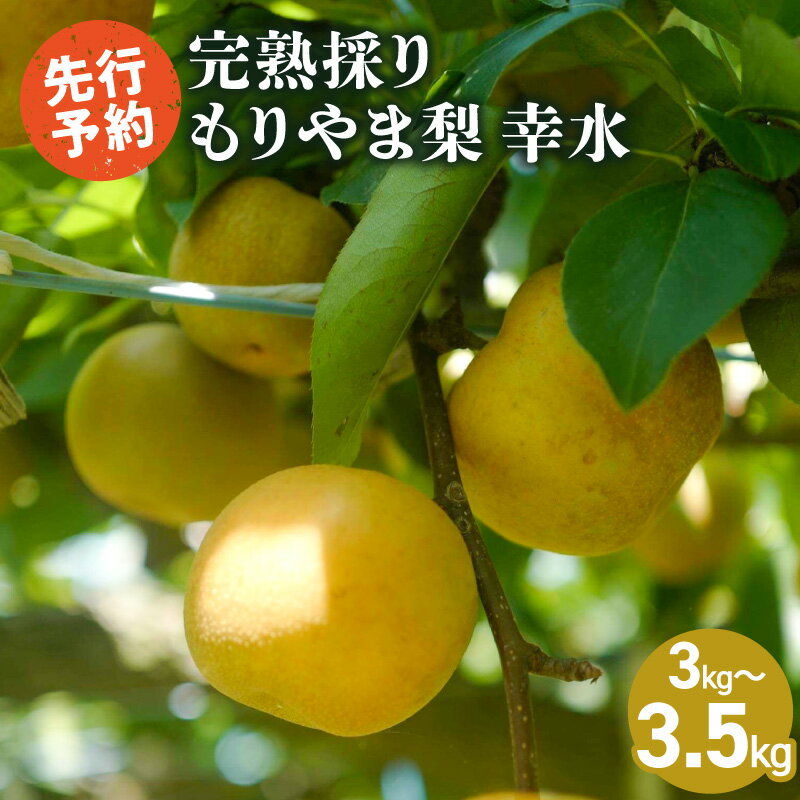 【ふるさと納税】先行予約 完熟採り 梨 幸水 3キロ～3.5キロ もりやま梨 生産農家直送 旬 果物 フルー..