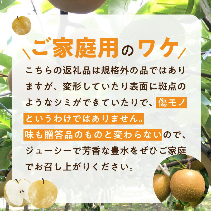 【ふるさと納税】先行予約 完熟採り もりやま梨豊水 家庭用 訳あり 1.5キロ〜2キロ