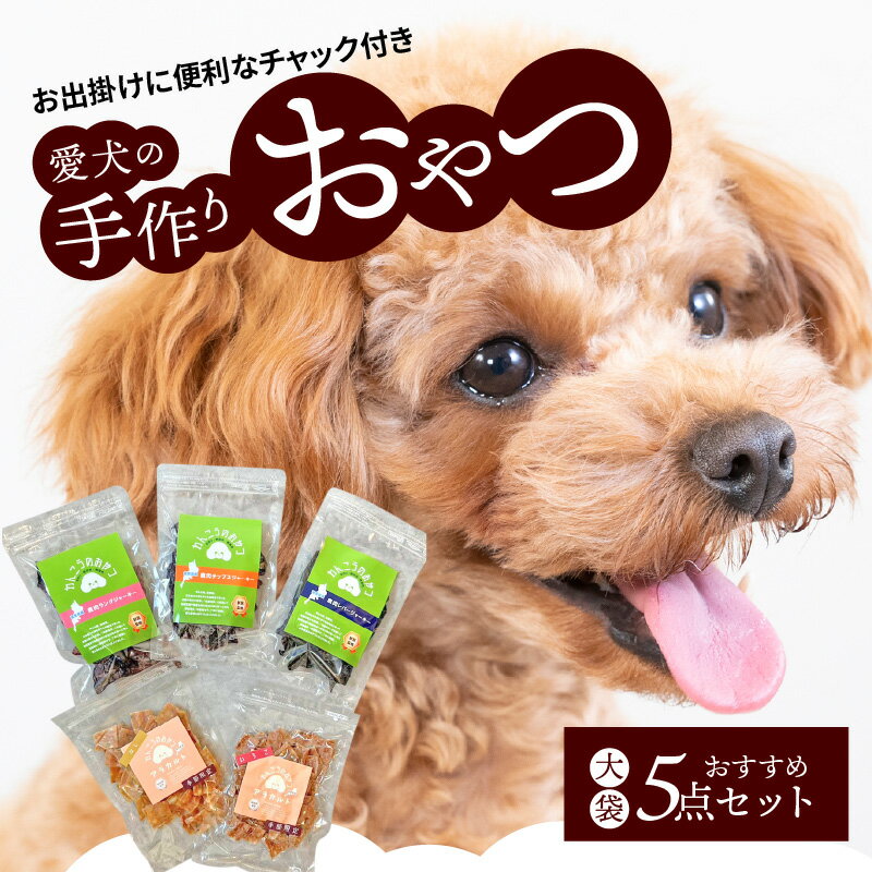 無添加 愛犬の 手作り おやつ 大袋 5点 セット 全犬種対象 鹿肉 ペット ペットフード ジャーキー チップス 詰め合わせ Wanfood BULAN 滋賀県 守山市 お取り寄せ 送料無料