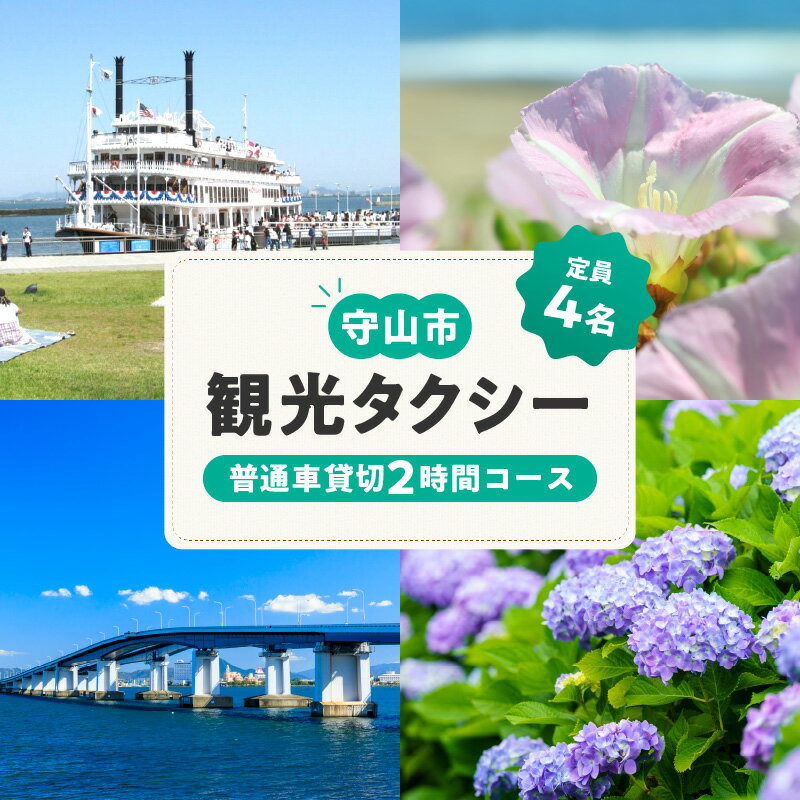 観光タクシー 乗車券 1枚 普通車 貸切 2時間分 4名様 乗車可能 タクシー 観光 チケット オーダーメイド ルート 設定 季節 魅力 スポット 守山タクシー 利用可能 レターパック 送料無料