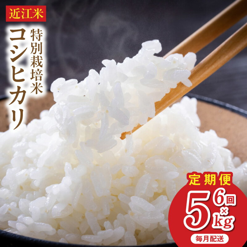 【ふるさと納税】令和8年 先行予約 新米 近江米 コシヒカリ 5kg 6回 定期便 ブレスパック 鮮度保持袋 ..